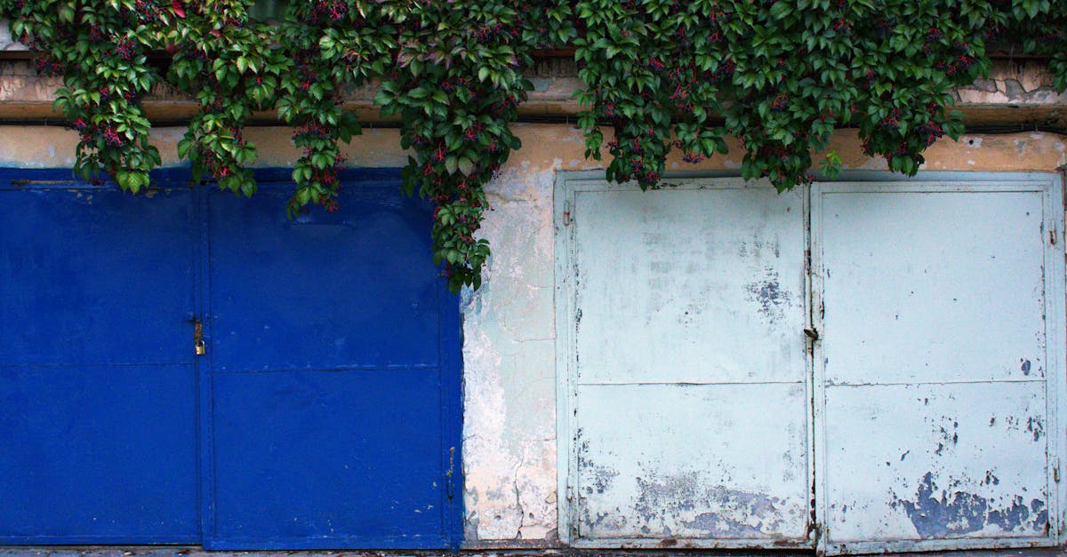 Garage Door Repair Newport Beach Area, CA